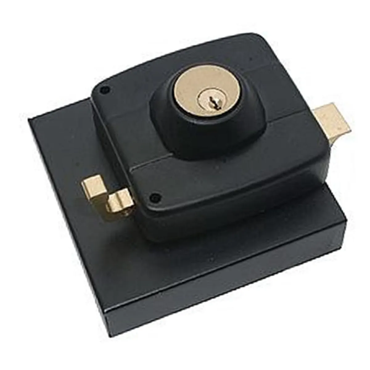CERRADURA SOBREP.CILIND.FIJO CON CAJA REJA NEGRO miniatura 1